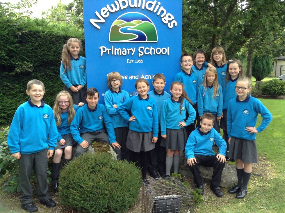 Primary 6