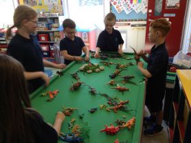 After Schools Fun!