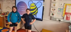 World Bee Day