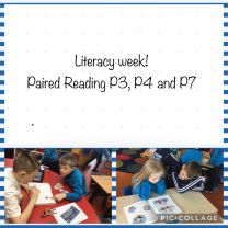 Literacy Week - Drop Everything and Read! 📖 📚 🌟