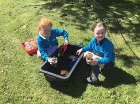 Primary 1/2 Gardening Club